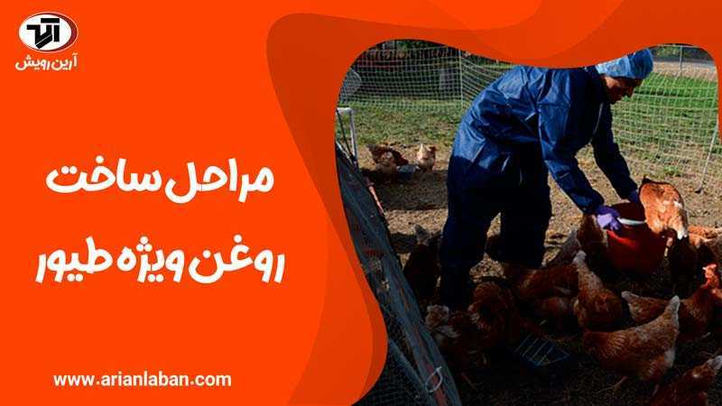 یک فرد در حال تولید روغن مرغوب ویژه طیور مرغداری و در میان مرغ خروس ها